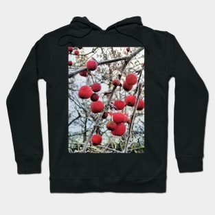 Crabapples in Winter Hoodie